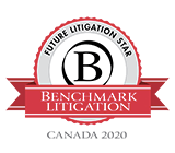 2020 Benchmark Litigation Future Litigation Star Badge
