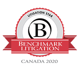 2020 Benchmark Litigation Star Badge