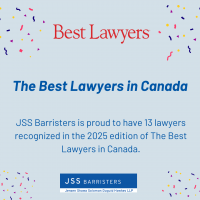 The Best Lawyers 2025